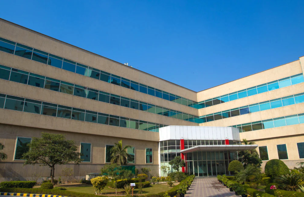 banner-2