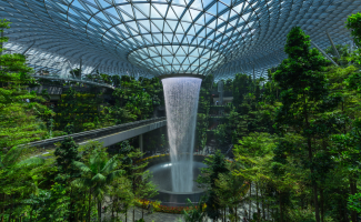 Portfolio Image 1