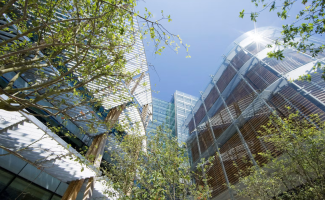 Portfolio Image 1